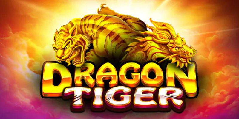 Lưu ý quan trọng khi đánh game Rồng Hổ Online
